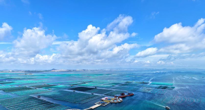 人工鱼礁新基石，大连长兴恒泰玻璃轻石赋能海洋牧场