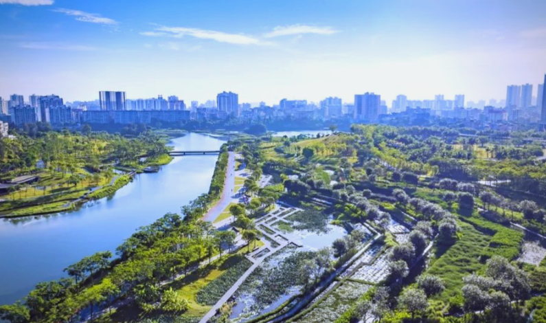 玻璃轻石：海绵城市的「新型透水生态基材」