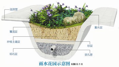 方寸轻石，涵养雨境｜长兴恒泰玻璃轻石，让雨水花园自愈自然
